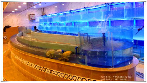 报价 供应商 图片 崇安区鸿颜水族器材经营部